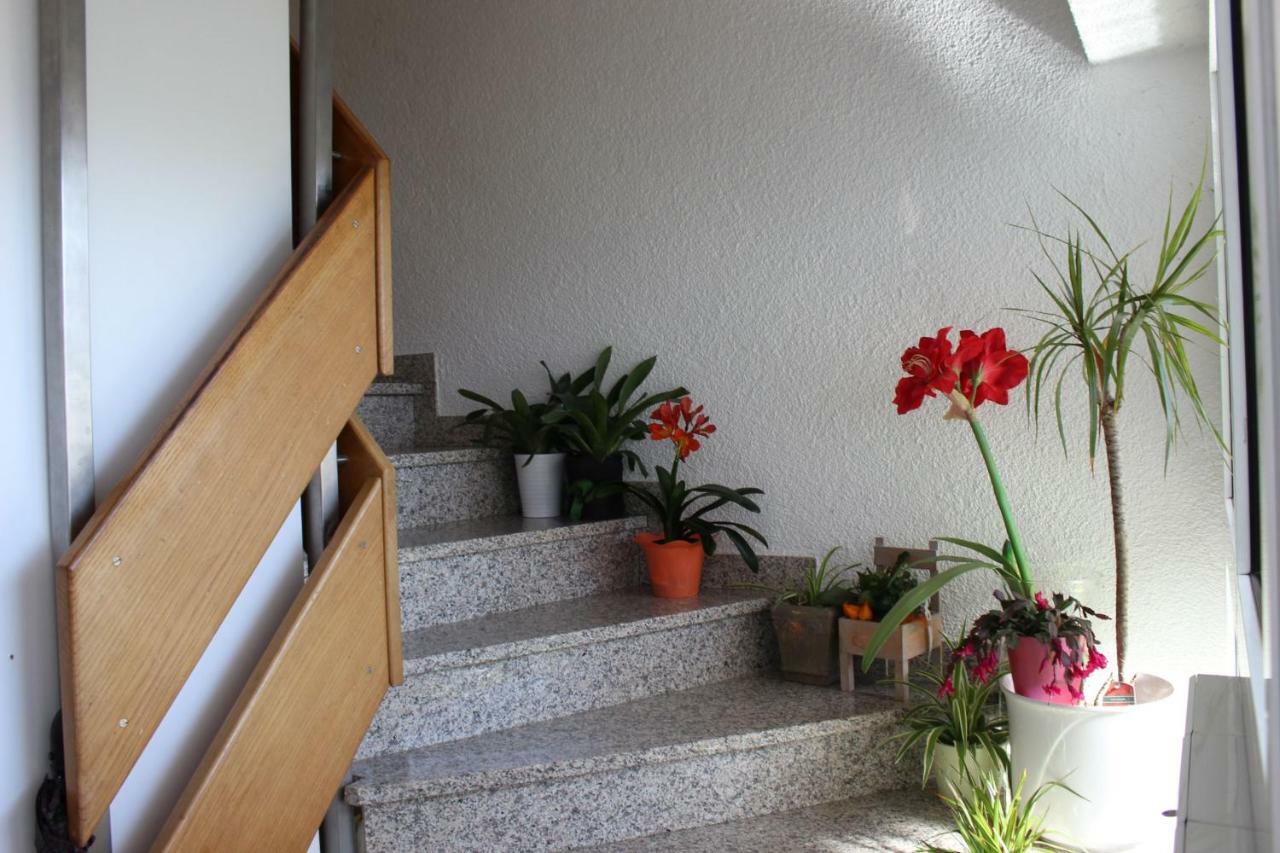 Gastehaus Thoma Daire Breisach Dış mekan fotoğraf